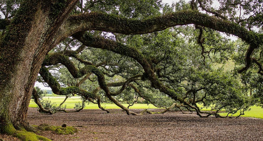 怎么去攻击一个网站与防护